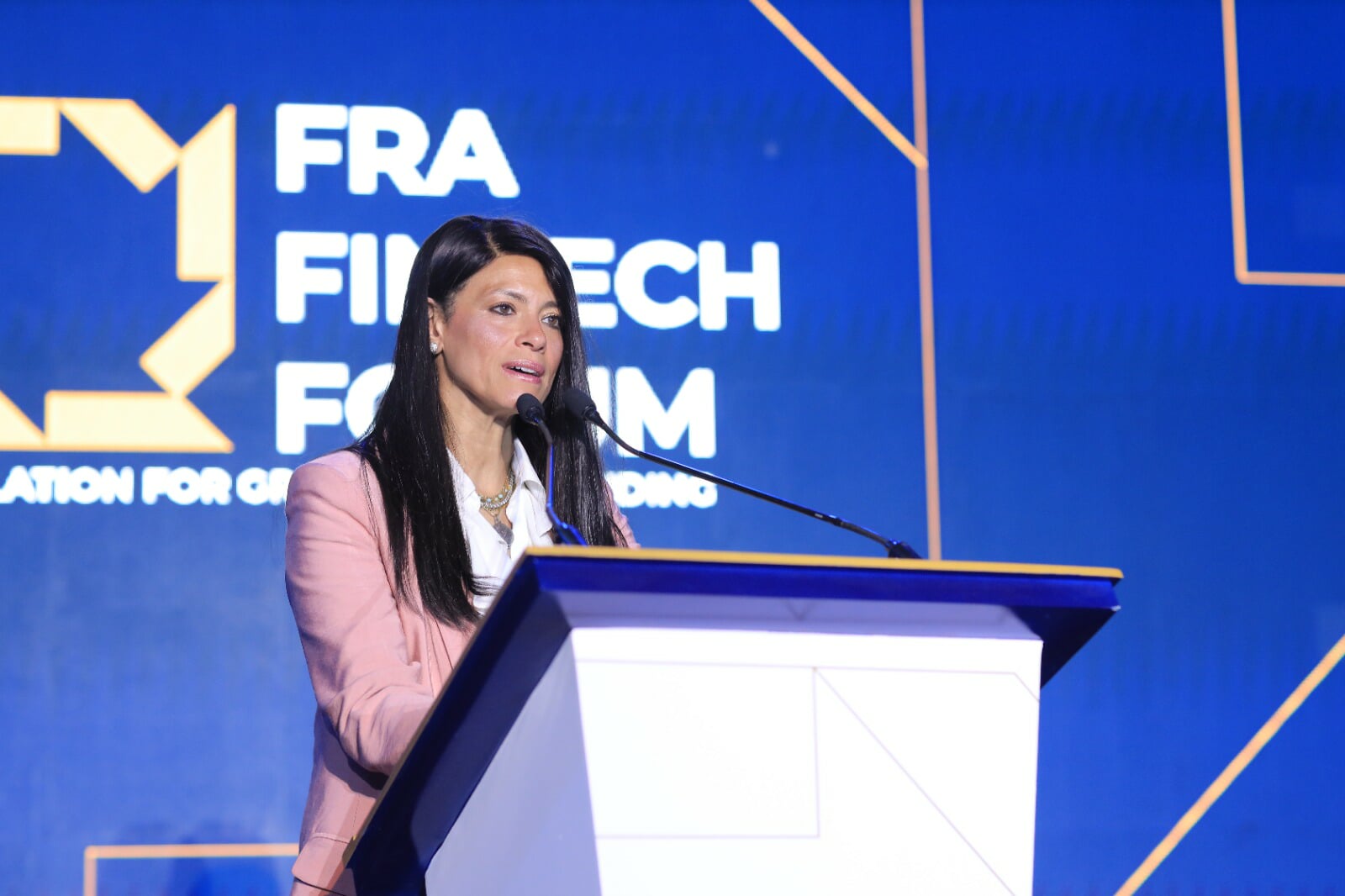 Egypt Launches Unified Roadmap to Boost Entrepreneurship and Financial Technology