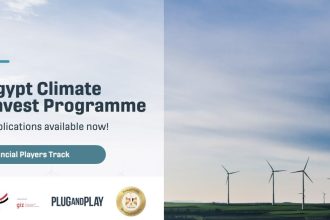 Egyptian Climate Tech Startups Invited To Join The Egypt Climate Invest Programme