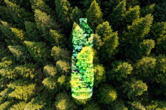 Dubai Holding Invites Global Scale-Ups To Its Innovate For Tomorrow Accelerator