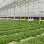 Sheraa And National Agriculture Center Launch Agriboost 2026 To Bolster AgriTech Innovation