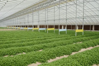 Sheraa And National Agriculture Center Launch Agriboost 2026 To Bolster AgriTech Innovation