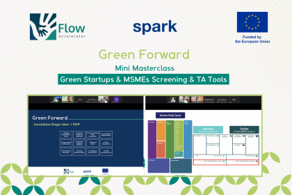 Flow Accelerator Enhances Institutional Capacity for Green Startup Growth