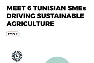 Tunisia’s Agricultural Sector Records Double Digit Growth Driven By Sustainable SMEs