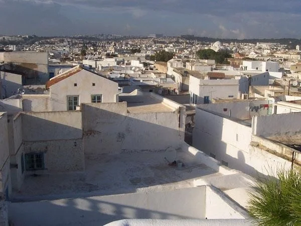 National Bank of Egypt Launches Women Rise Initiative to Back Female Founders and Startups