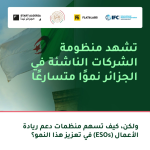 Flat6Labs and IFC Launch StartAlgeria Program for Algerian Startup Support Organisations