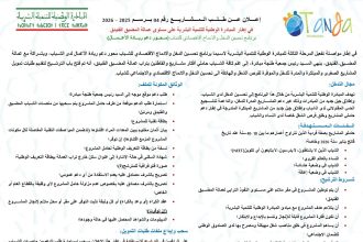 M’diq-Fnideq Launches Funding Opportunity for Youth Entrepreneurship Projects in Morocco