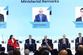Egypt’s Investment Minister Outlines Measures to Support African Startups