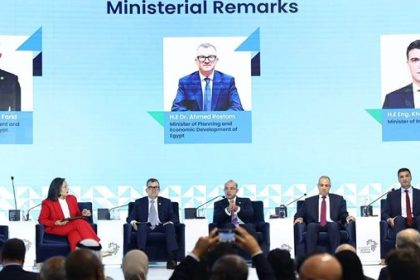 Egypt’s Investment Minister Outlines Measures to Support African Startups