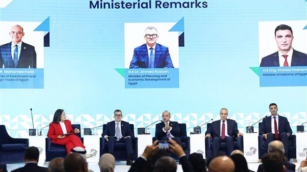 Egypt’s Investment Minister Outlines Measures to Support African Startups